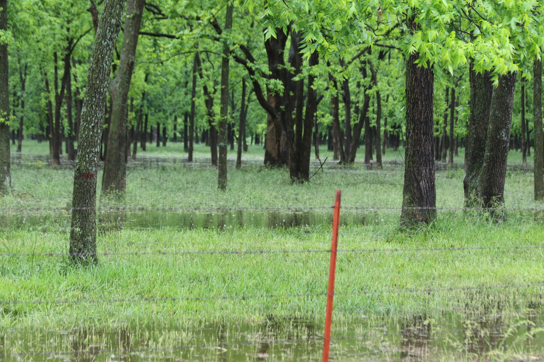 Skiatook Flooding